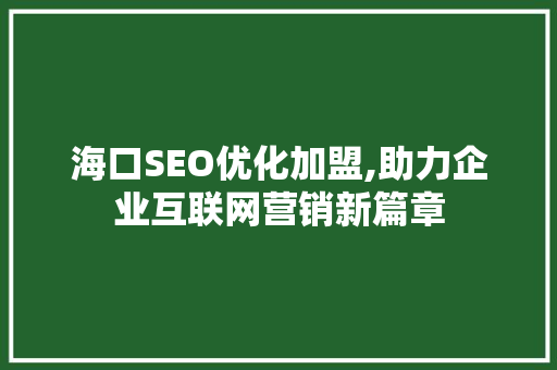 海口SEO优化加盟,助力企业互联网营销新篇章
