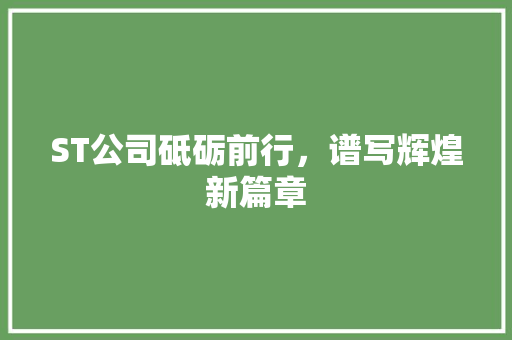 ST公司砥砺前行，谱写辉煌新篇章
