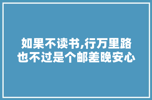 深圳SEO自学网,掌握搜索引擎优化，开启网络营销新篇章