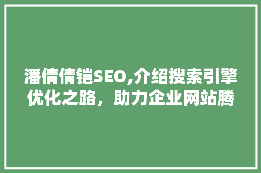潘倩倩铠SEO,介绍搜索引擎优化之路，助力企业网站腾飞