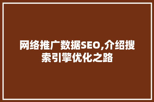 网络推广数据SEO,介绍搜索引擎优化之路