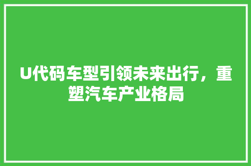 U代码车型引领未来出行，重塑汽车产业格局