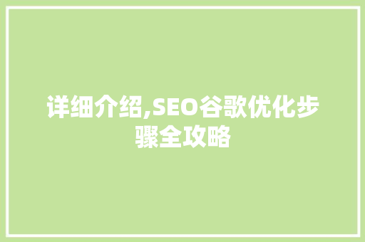 详细介绍,SEO谷歌优化步骤全攻略