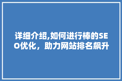 详细介绍,如何进行棒的SEO优化，助力网站排名飙升  第1张