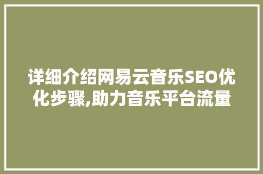 详细介绍网易云音乐SEO优化步骤,助力音乐平台流量提升