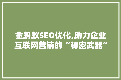 金蚂蚁SEO优化,助力企业互联网营销的“秘密武器”