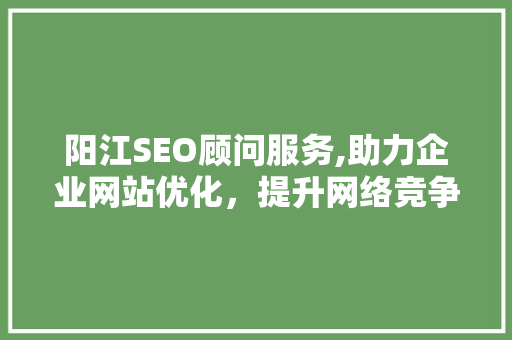 阳江SEO顾问服务,助力企业网站优化，提升网络竞争力  第1张