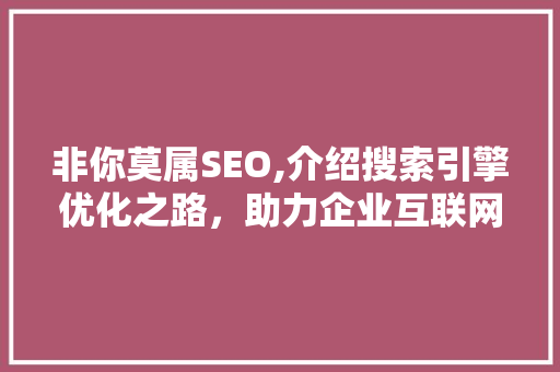 非你莫属SEO,介绍搜索引擎优化之路，助力企业互联网营销