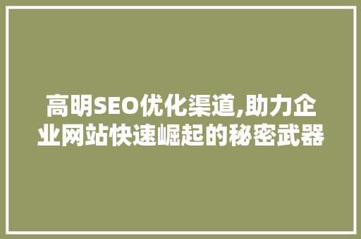 高明SEO优化渠道,助力企业网站快速崛起的秘密武器