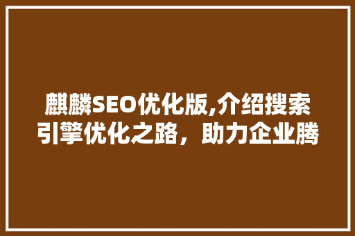 麒麟SEO优化版,介绍搜索引擎优化之路，助力企业腾飞