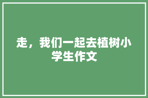 2024年SEO优化新教程,关键词布局的艺术与步骤