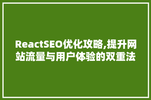 ReactSEO优化攻略,提升网站流量与用户体验的双重法宝