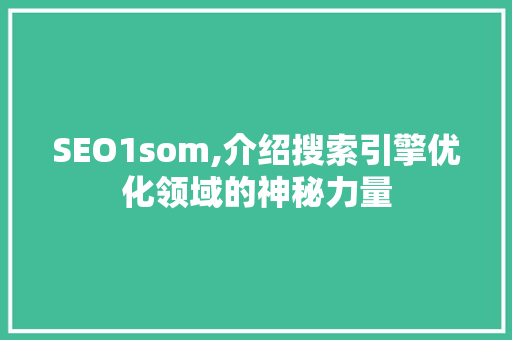 SEO1som,介绍搜索引擎优化领域的神秘力量