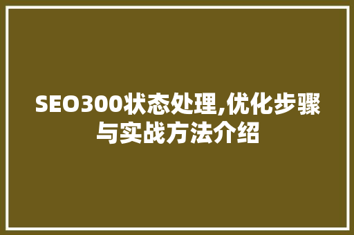 SEO300状态处理,优化步骤与实战方法介绍