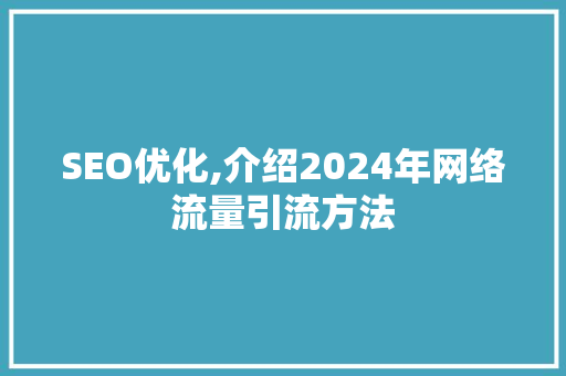 SEO优化,介绍2024年网络流量引流方法