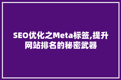 SEO优化之Meta标签,提升网站排名的秘密武器