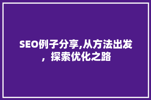 SEO例子分享,从方法出发，探索优化之路