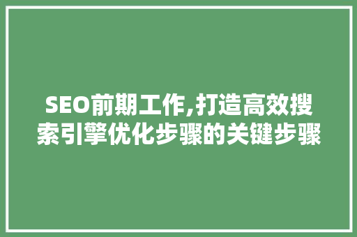 SEO前期工作,打造高效搜索引擎优化步骤的关键步骤