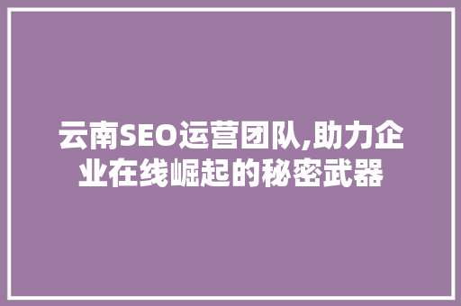 云南SEO运营团队,助力企业在线崛起的秘密武器
