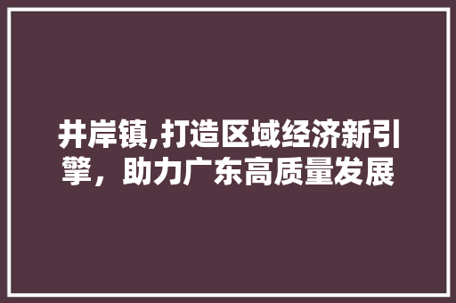 井岸镇,打造区域经济新引擎，助力广东高质量发展