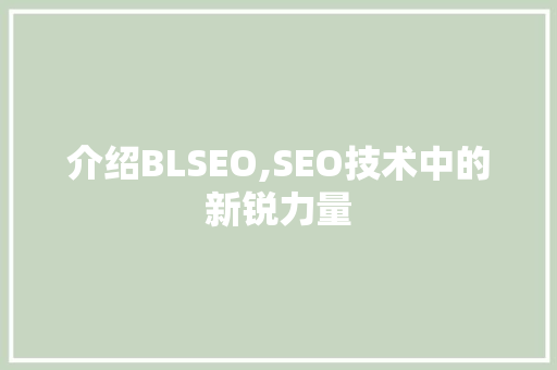 介绍BLSEO,SEO技术中的新锐力量  第1张