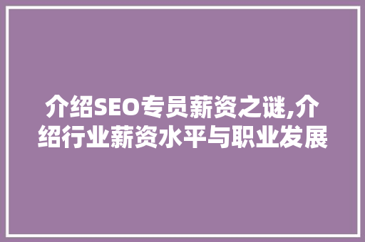 介绍SEO专员薪资之谜,介绍行业薪资水平与职业发展前景