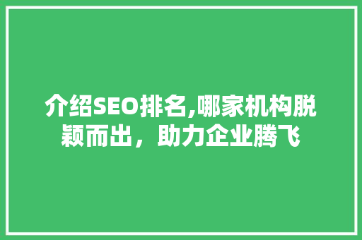 介绍SEO排名,哪家机构脱颖而出，助力企业腾飞
