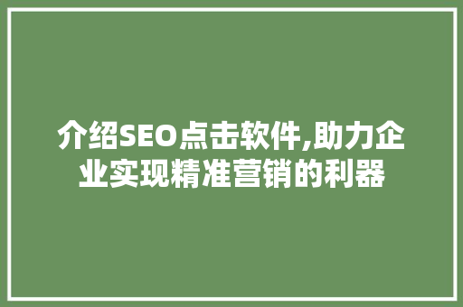 介绍SEO点击软件,助力企业实现精准营销的利器