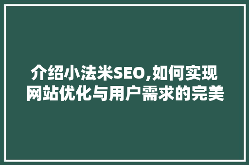 介绍小法米SEO,如何实现网站优化与用户需求的完美契合