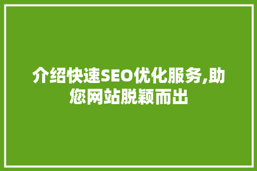 介绍快速SEO优化服务,助您网站脱颖而出