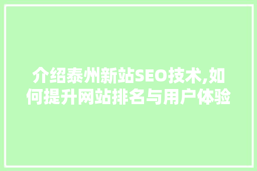 介绍泰州新站SEO技术,如何提升网站排名与用户体验