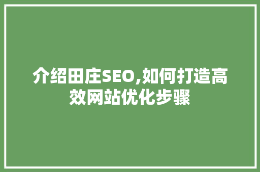 介绍田庄SEO,如何打造高效网站优化步骤