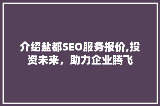介绍盐都SEO服务报价,投资未来，助力企业腾飞