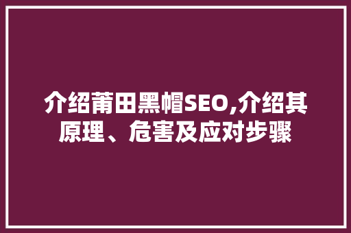 介绍莆田黑帽SEO,介绍其原理、危害及应对步骤
