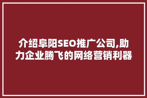 介绍阜阳SEO推广公司,助力企业腾飞的网络营销利器