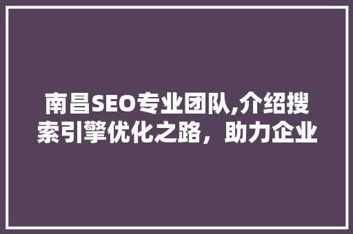 南昌SEO专业团队,介绍搜索引擎优化之路，助力企业腾飞