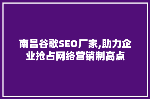 南昌谷歌SEO厂家,助力企业抢占网络营销制高点