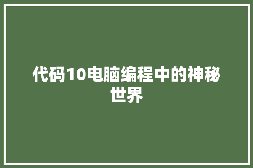 代码10电脑编程中的神秘世界