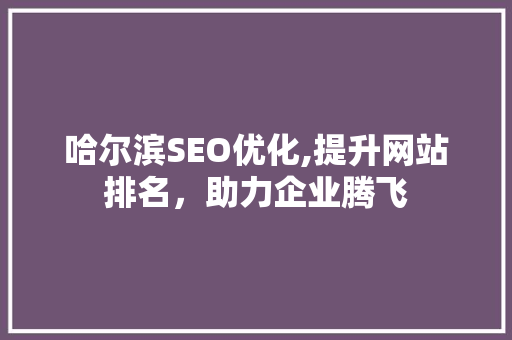 哈尔滨SEO优化,提升网站排名，助力企业腾飞