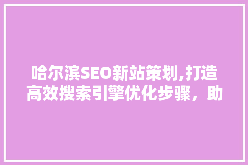 哈尔滨SEO新站策划,打造高效搜索引擎优化步骤，助力企业腾飞