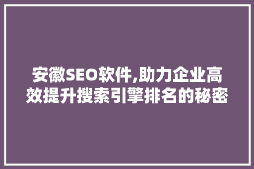 安徽SEO软件,助力企业高效提升搜索引擎排名的秘密武器