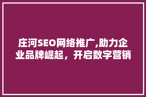 庄河SEO网络推广,助力企业品牌崛起，开启数字营销新篇章  第1张