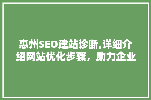 惠州SEO建站诊断,详细介绍网站优化步骤，助力企业互联网发展
