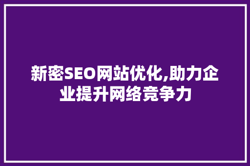 新密SEO网站优化,助力企业提升网络竞争力