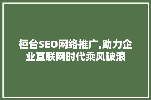 桓台SEO网络推广,助力企业互联网时代乘风破浪