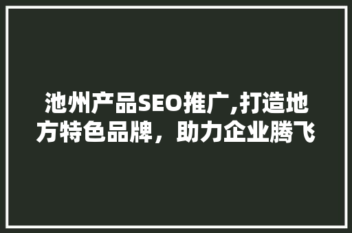 池州产品SEO推广,打造地方特色品牌，助力企业腾飞