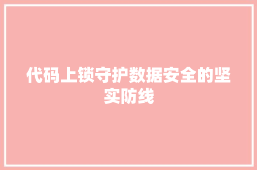 代码上锁守护数据安全的坚实防线
