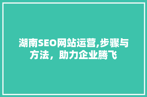 湖南SEO网站运营,步骤与方法，助力企业腾飞