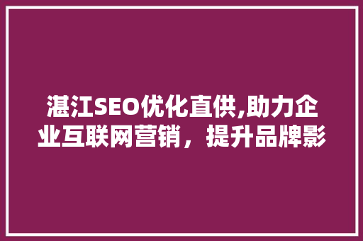 湛江SEO优化直供,助力企业互联网营销，提升品牌影响力
