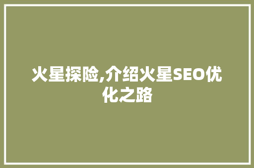 火星探险,介绍火星SEO优化之路